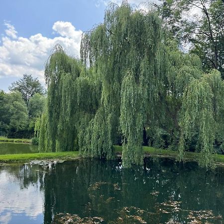 Restauracja I Noclegi Izba Rybacka W Krainie Wygaslych Wulkanow Podgorki Exteriér fotografie